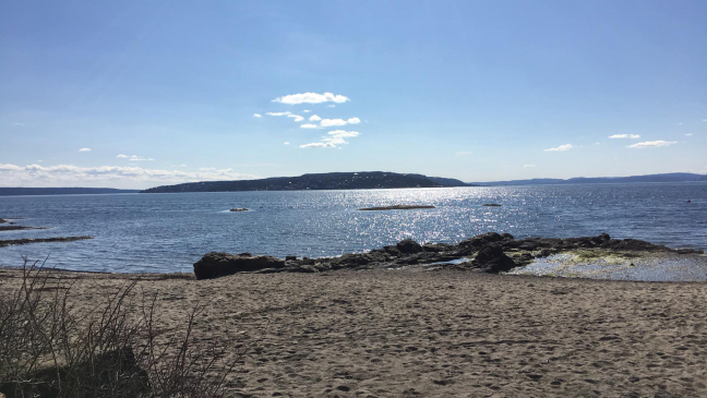 Utsikt over sandstranda på Huk naturiststrand