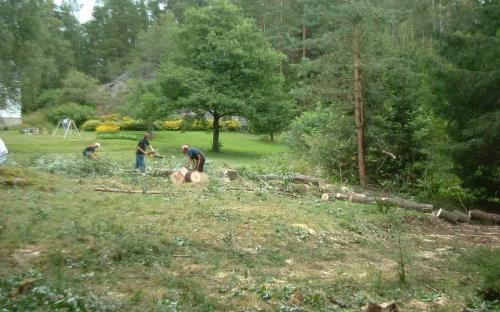 Tømmerhogst / Logging